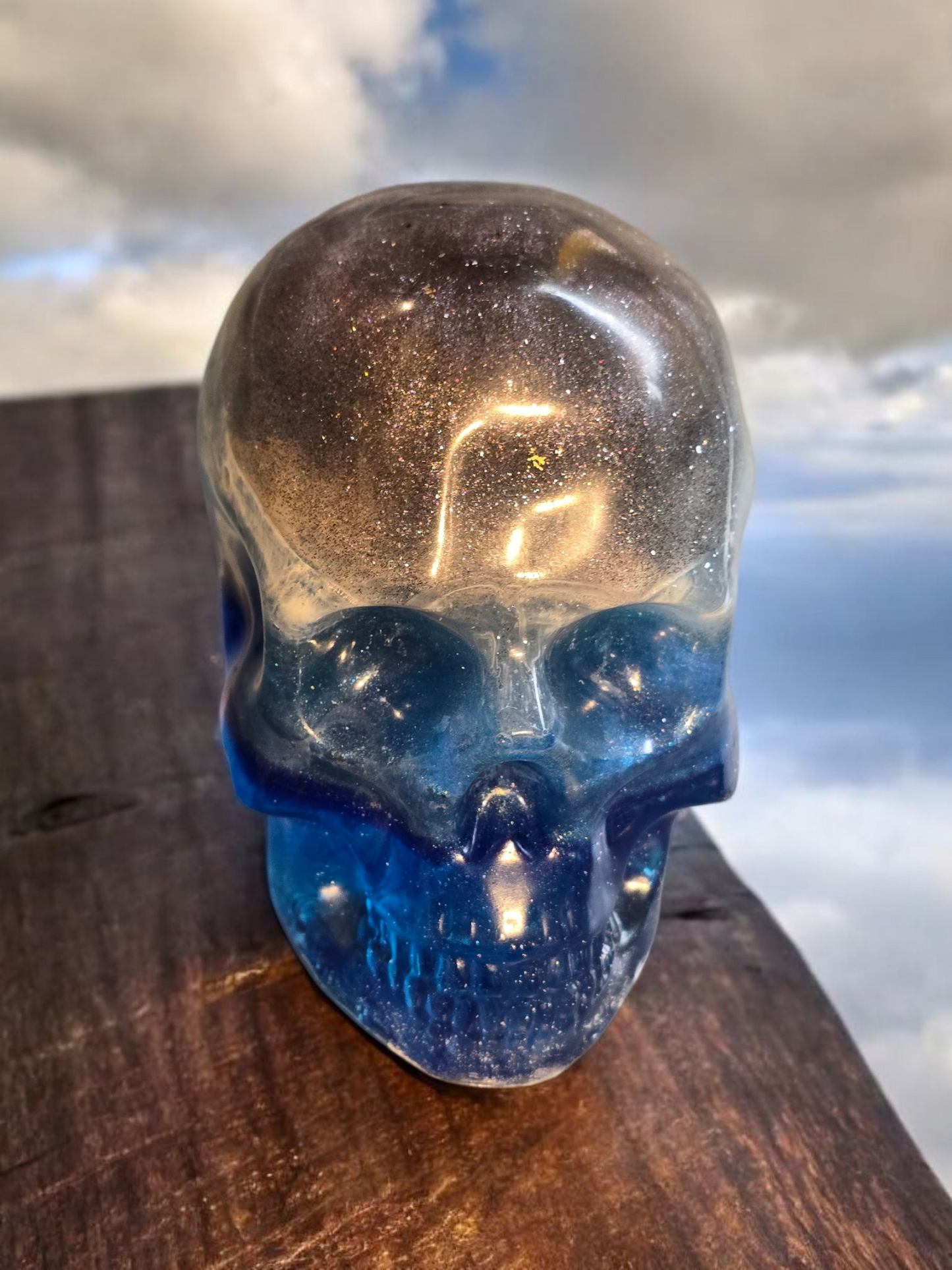 Scull large blue and gold