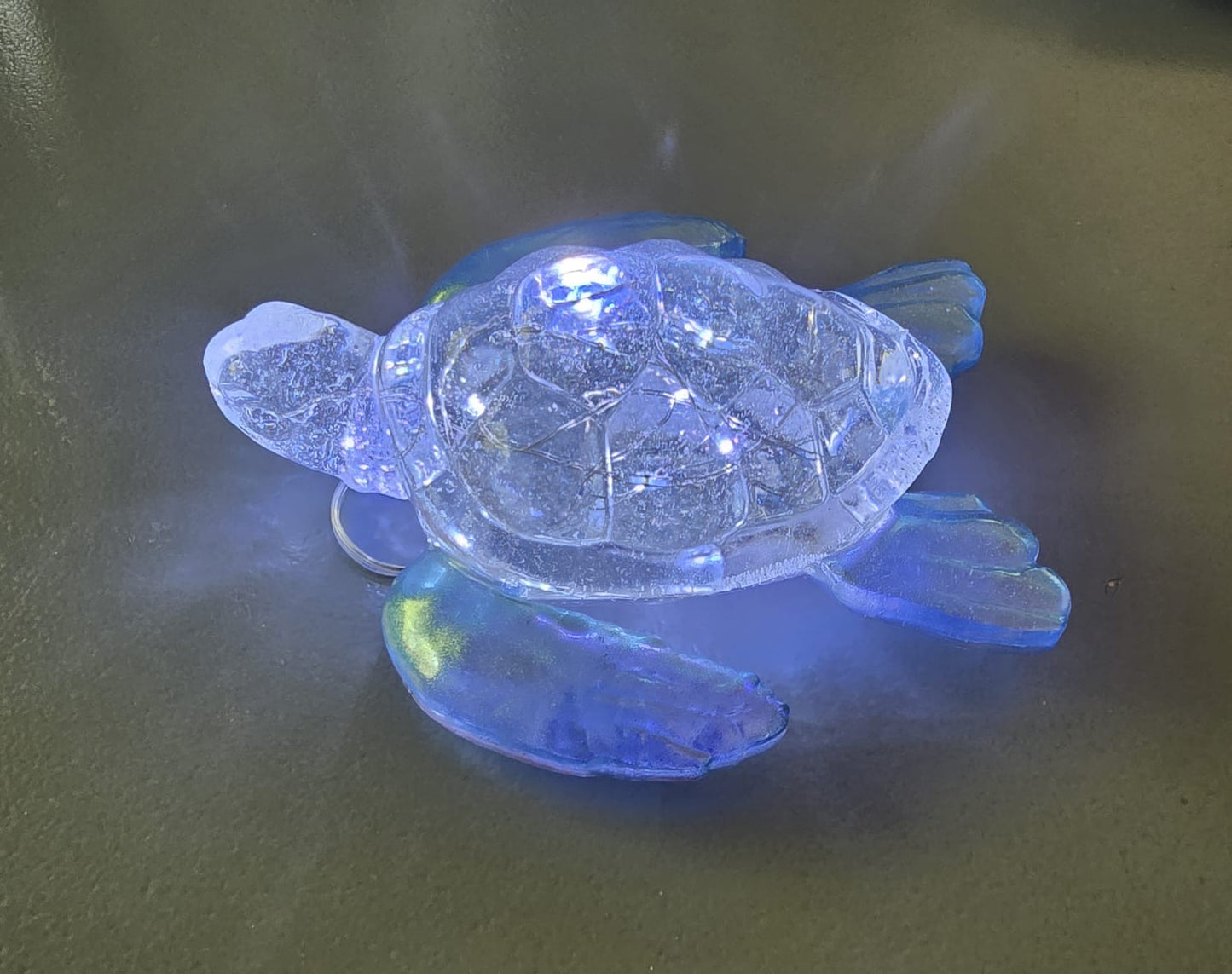 Turtle large light blue