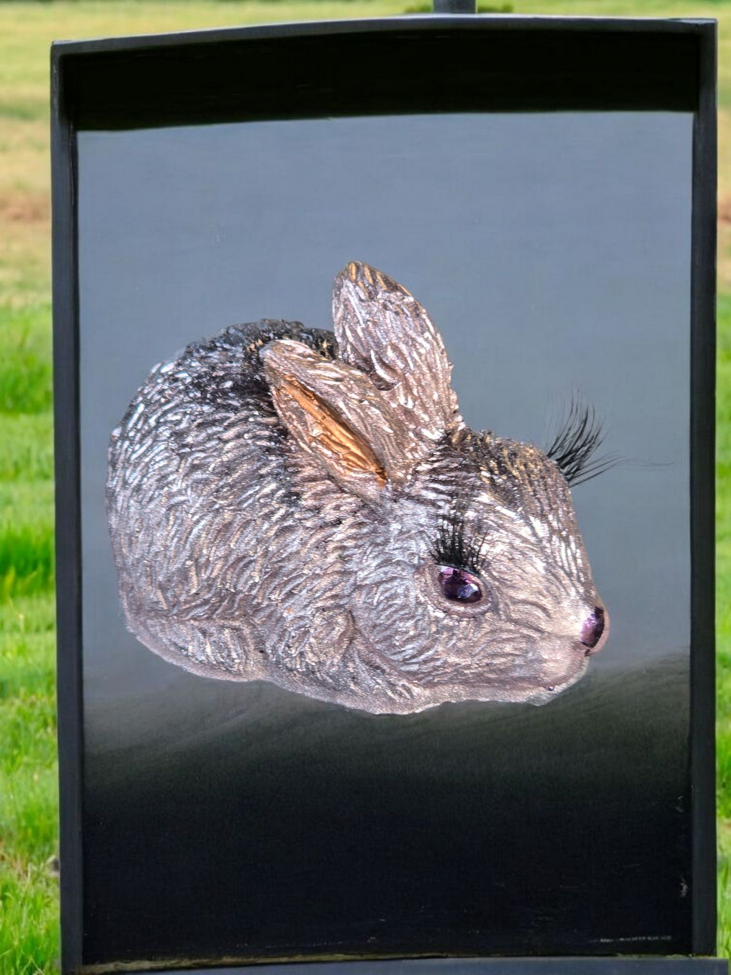 Bunny with gorgeous eyelashes