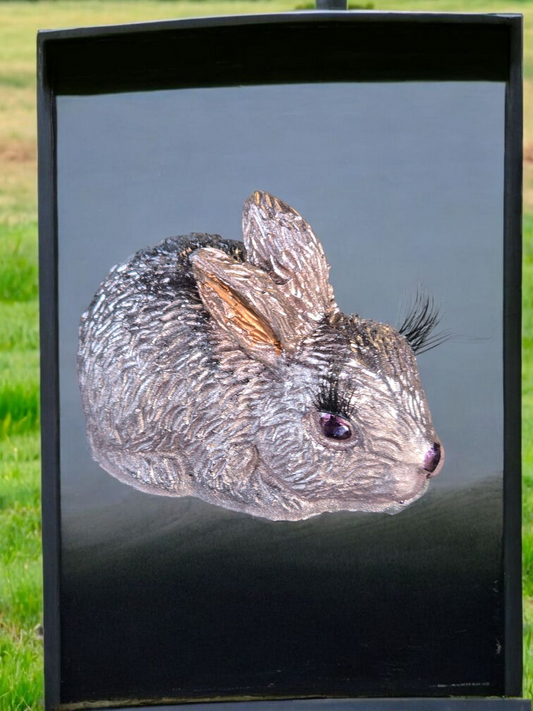 Bunny with gorgeous eyelashes