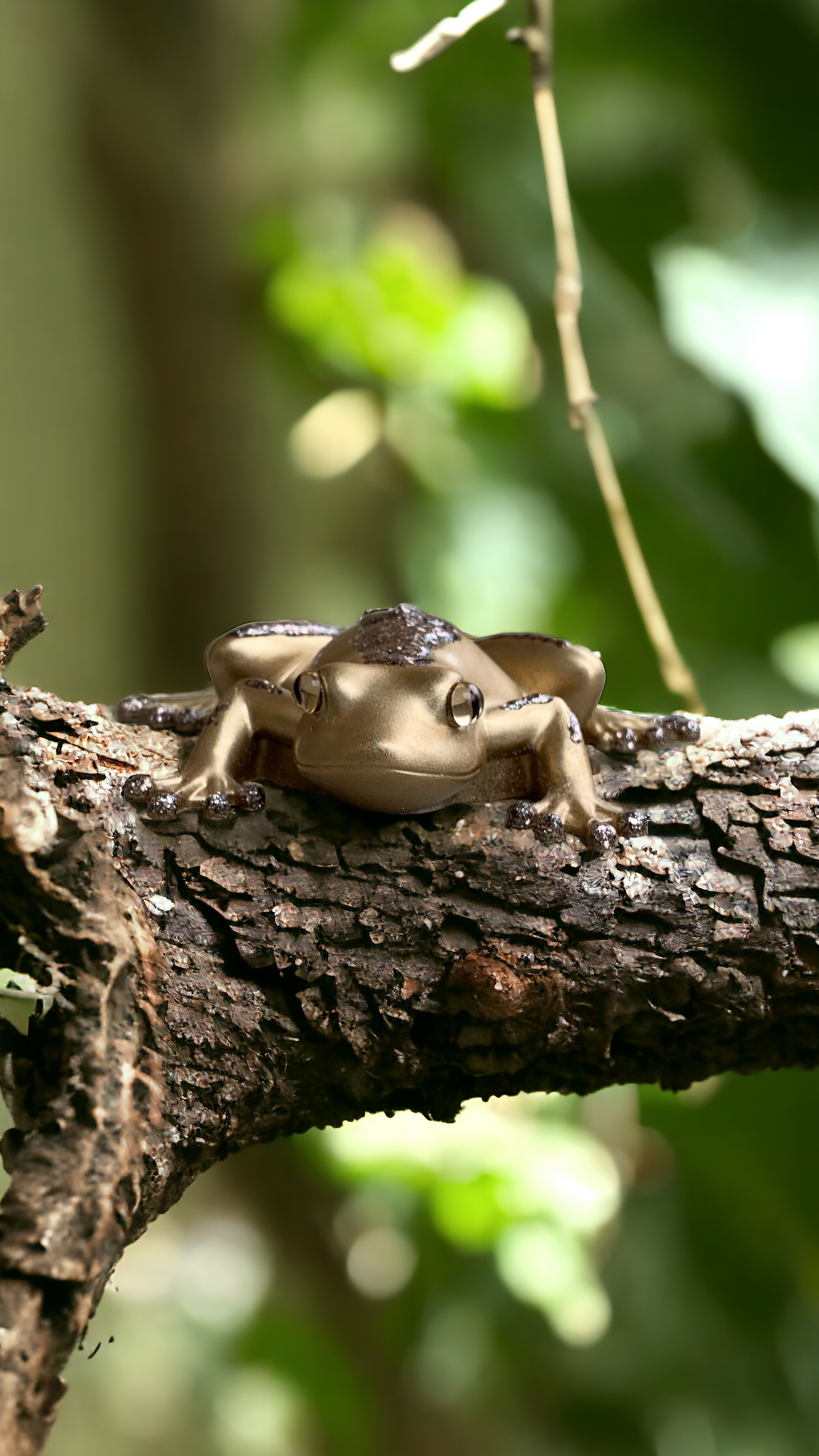 Chic gold frogs with gold sparkle