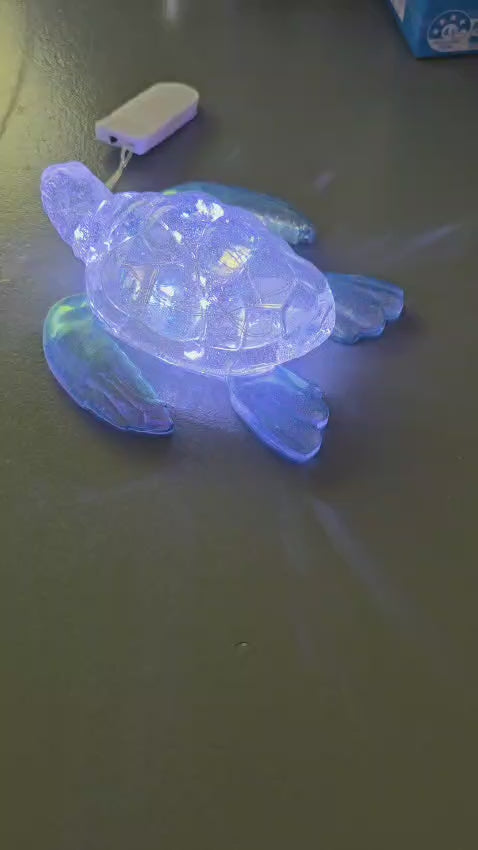Turtle large light blue