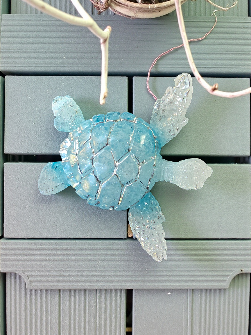 Turtle small icy white